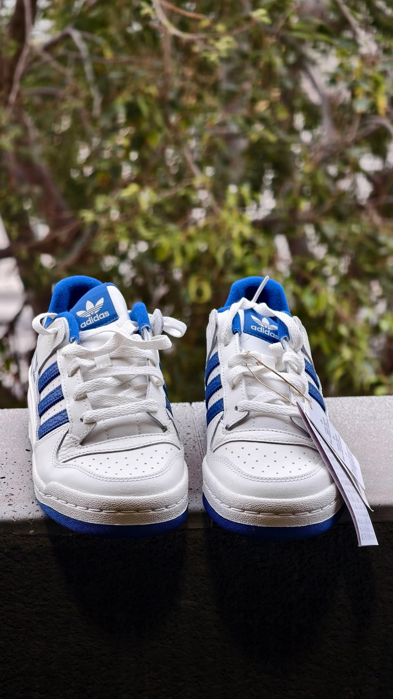 Adidas Forum Low CL Nieuwe – photo 3
